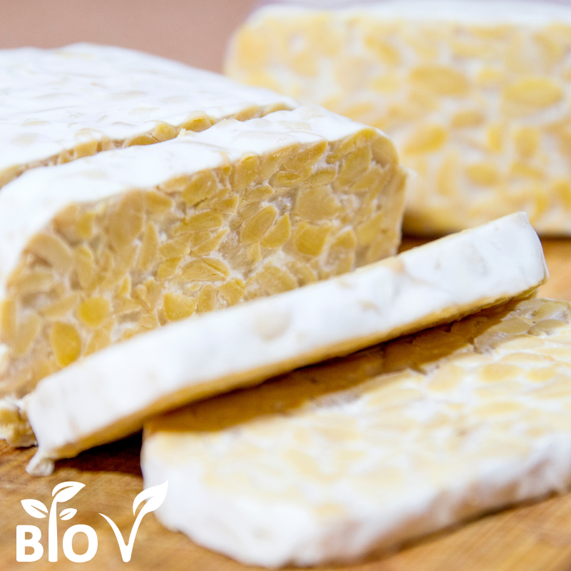 BIO Tempe